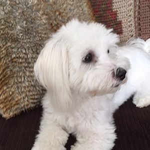 Meet your Posher, Ruth